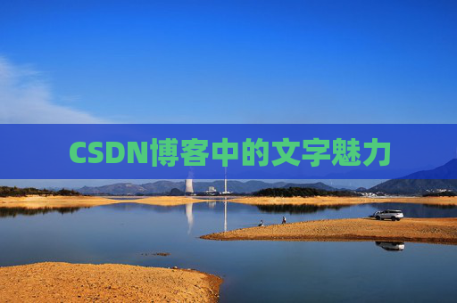 CSDN博客中的文字魅力